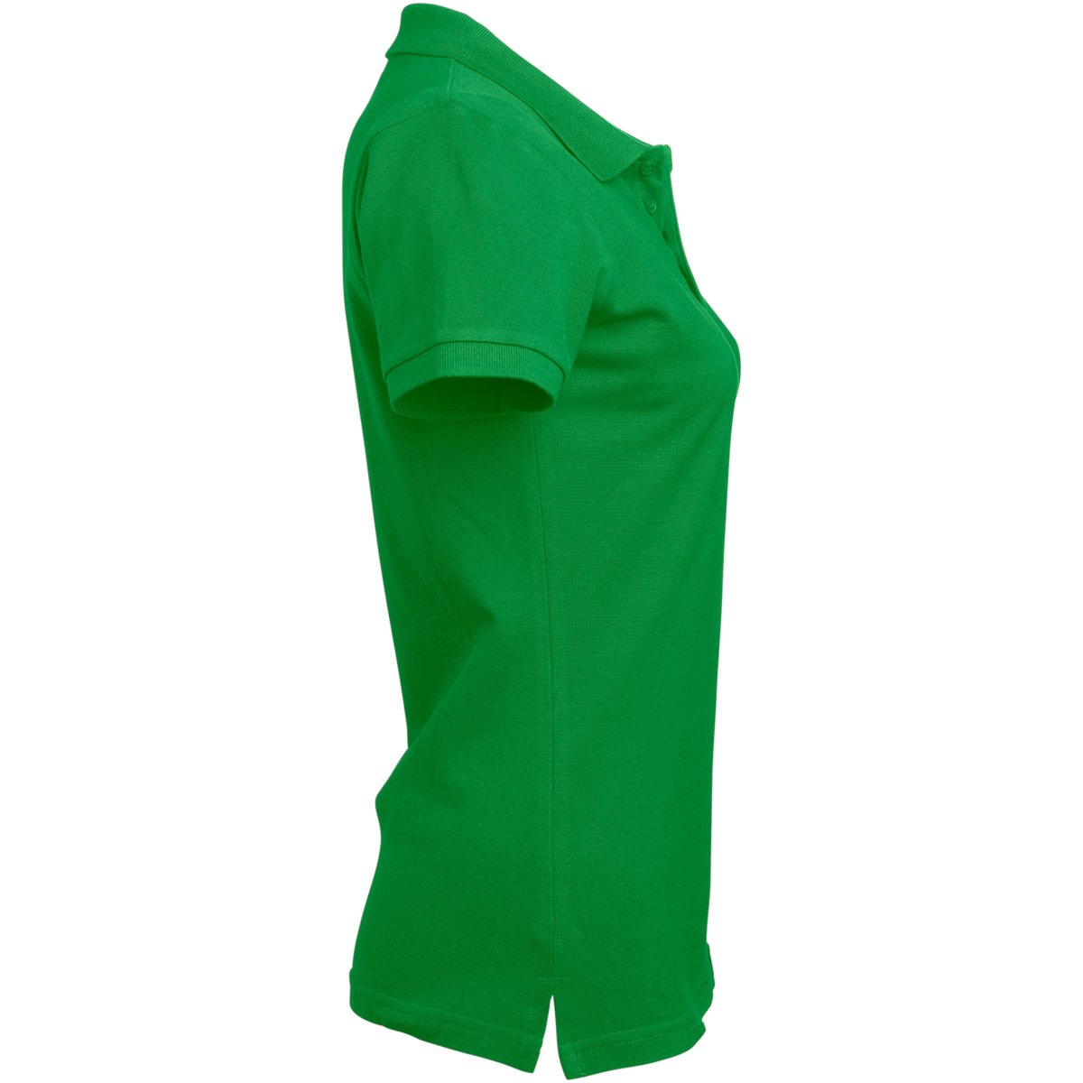 コロニータ ポロ w