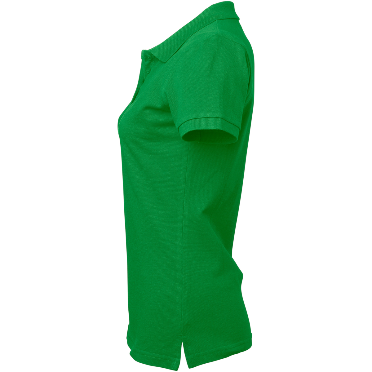 コロニータ ポロ w