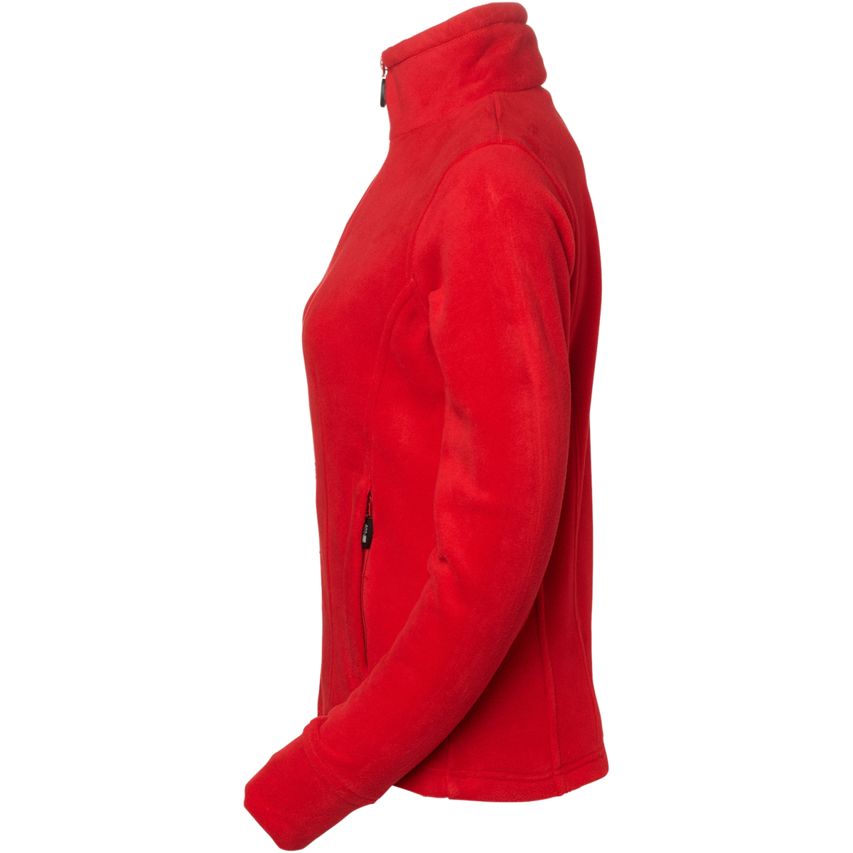 レジーナフリースw