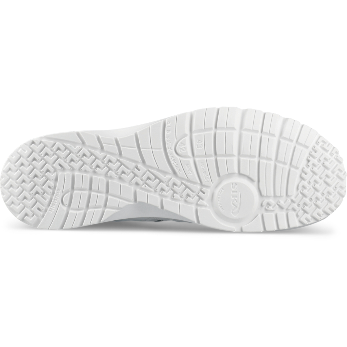 19241 フュージョン