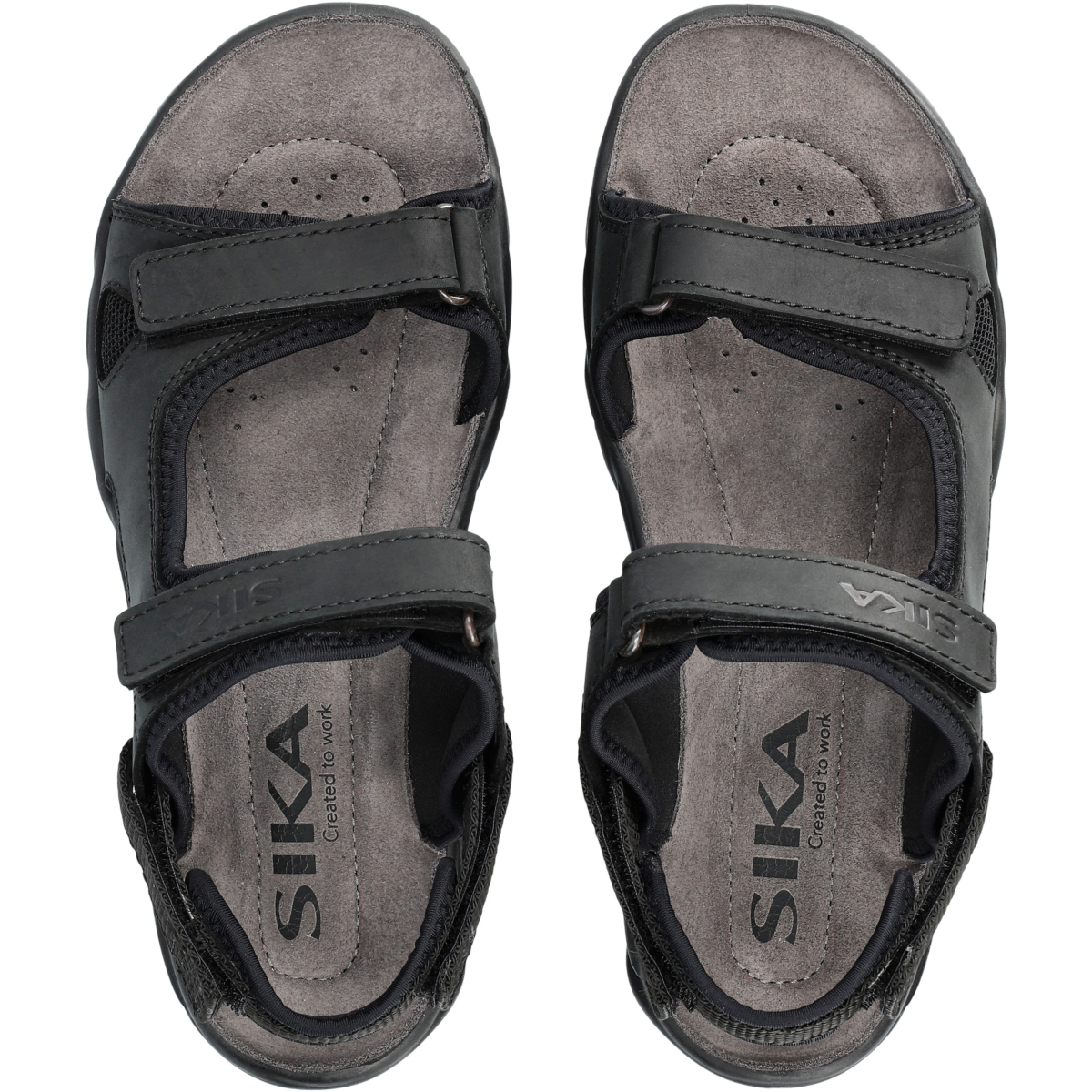 22213 シカモーション