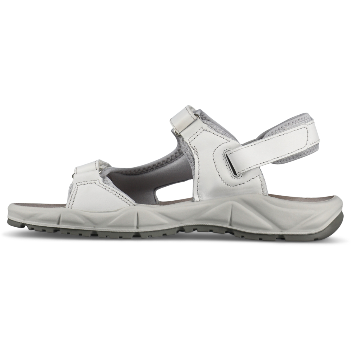 22265 シカモーション